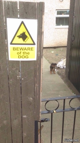 Осторожно, злая собака