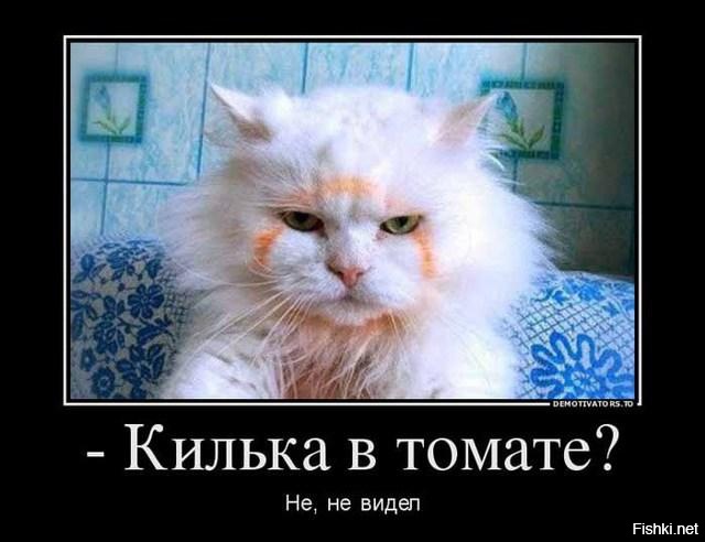 и не до кильки