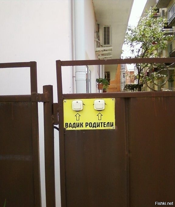 когда друзья сына достали