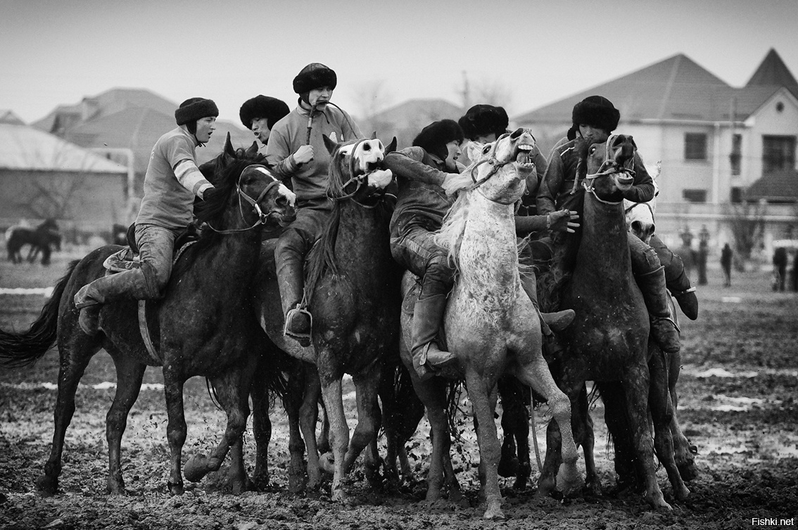 Кокпар в Южном Казахстане