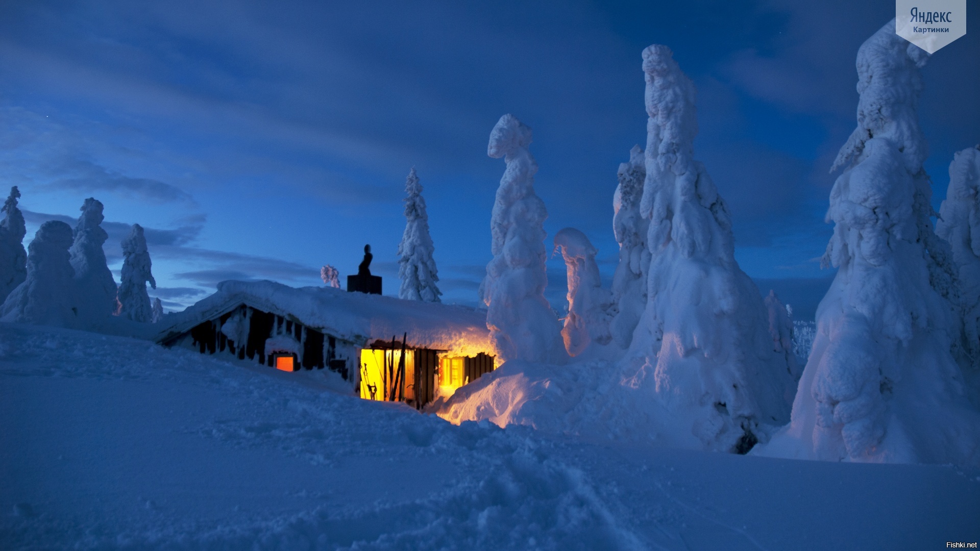 Яндекс-картинки сегодня порадовали