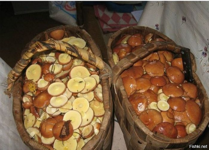 Знаю что зима на дворе, но не смог удержаться