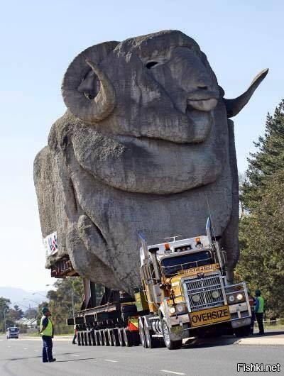 А как ты выгуливаеш своего БАРАША