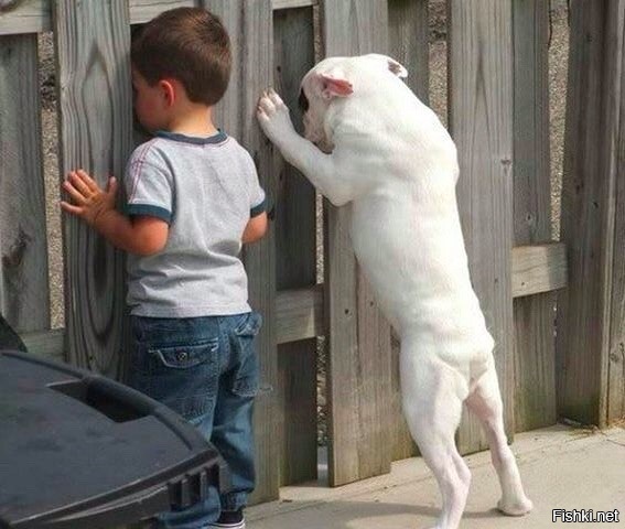 Юные вуайеристы