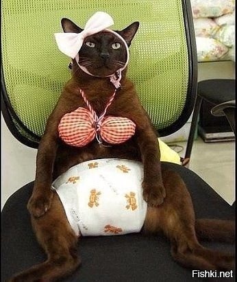 Когда вернулись дети, собака притворилась мертвой