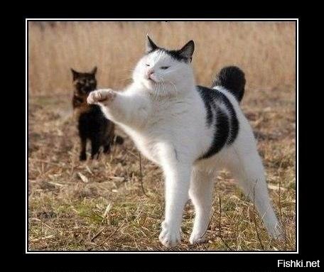 Всна вон там