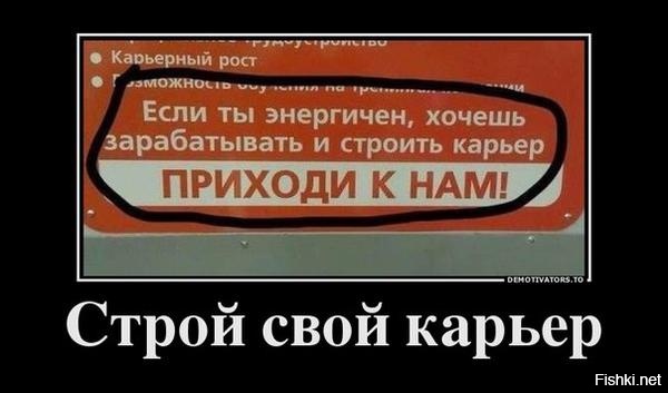 Из солянки
