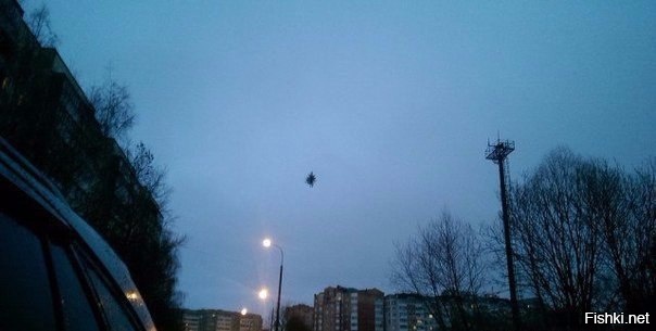 Скоро весна, елки полетели обратно в тайгу