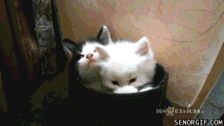 - Двойняшки