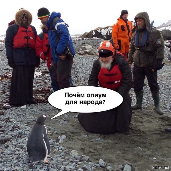 Будет ли теперь Россия спасать наших, православных пингвинов от западных пинг...