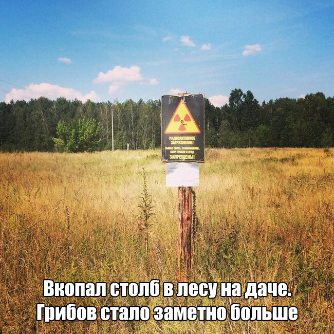Пост про пост