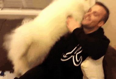 Обнимашки-целовашки