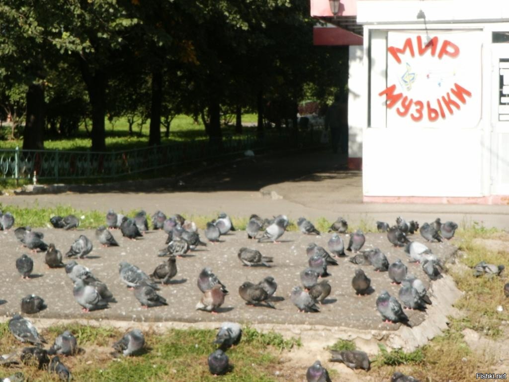 Скоро презентация нового диска)))))