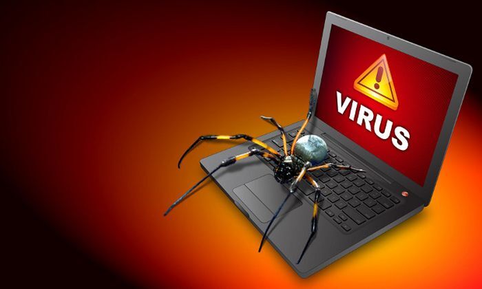 Компьютерный вирус: злобные «черви» и трояны-невидимки  