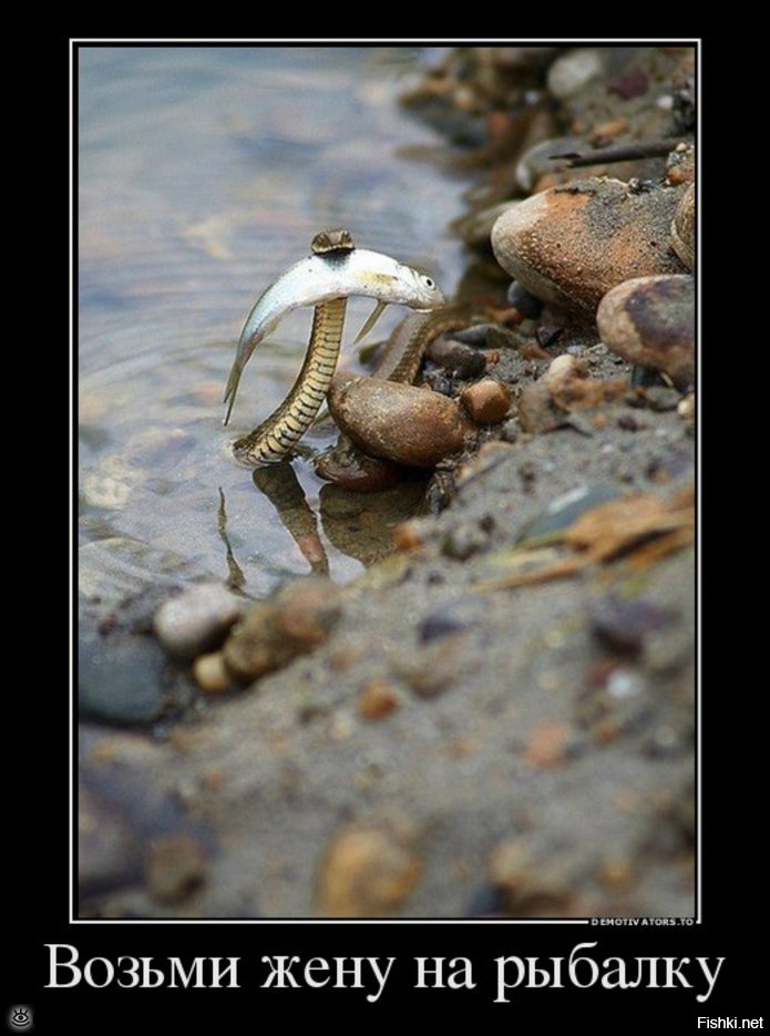 Скорее тёщу