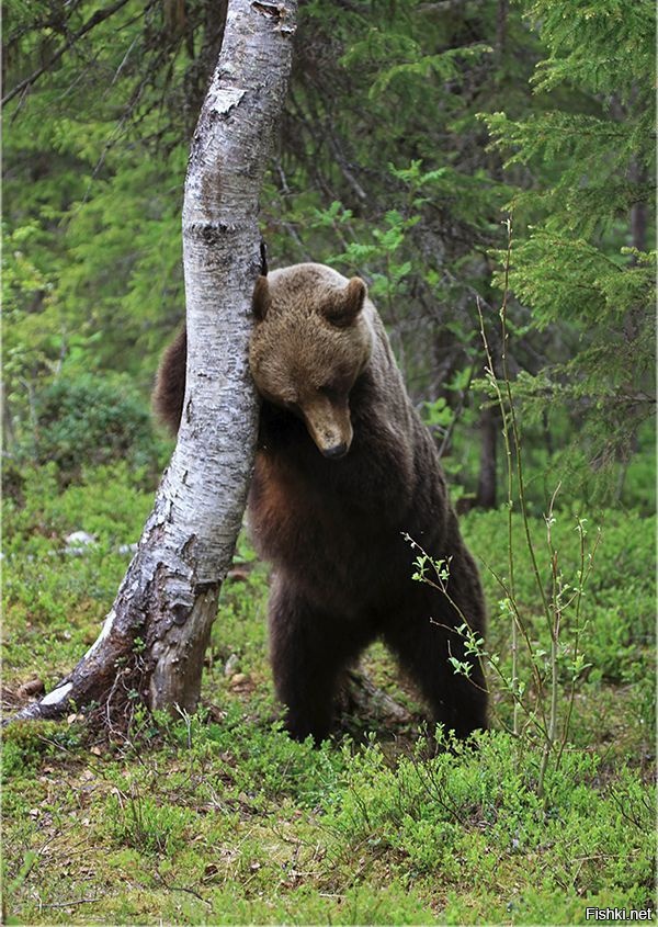 Ой,где был я вчера