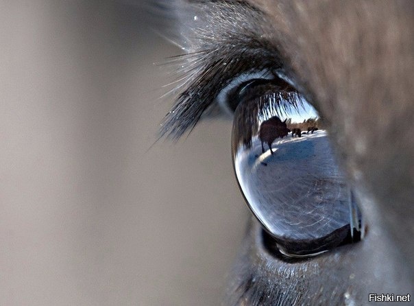 Красивый кадр