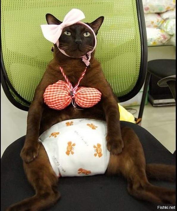 Когда дети вернулись, а ты не успел притвориться мертвым