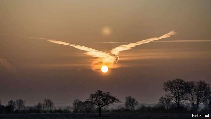 Облачная птица несёт добычу