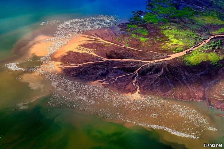 Солёные отмели