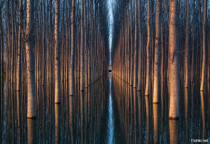 Мечта перфекциониста