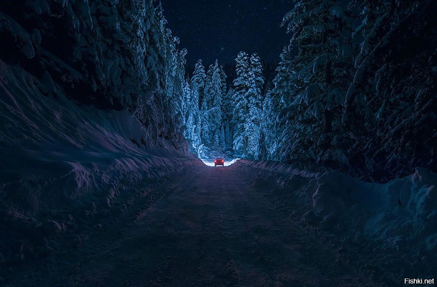 Дорога в сказку