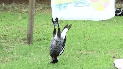 Коля, шо с тобой