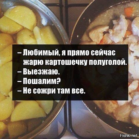 Из солянки