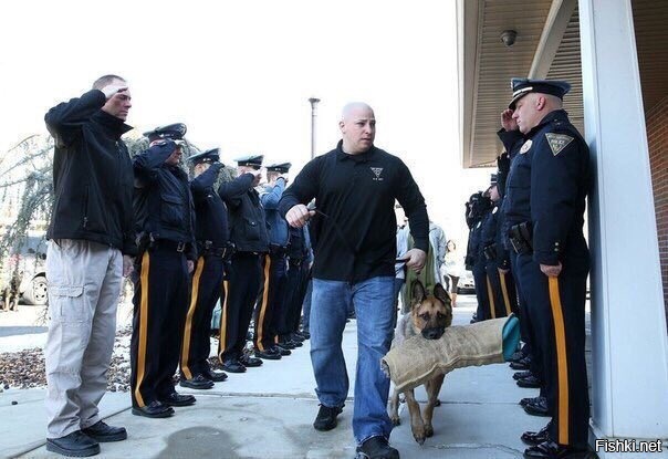 Офицеры провожают смертельно больную служебную собаку на эвантазию