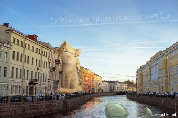 С рыбой в каналах не разговаривать - она по весне дура