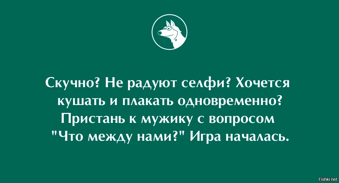 Из солянки