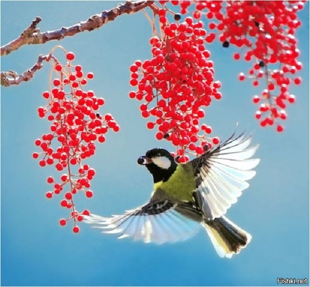 Доброе утро