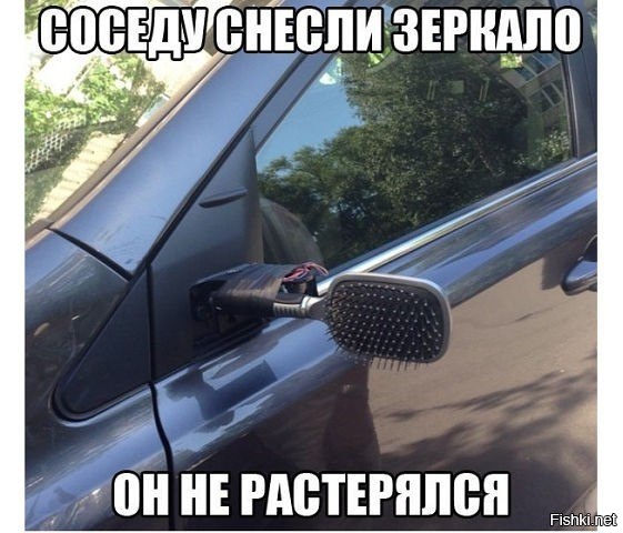 Из солянки
