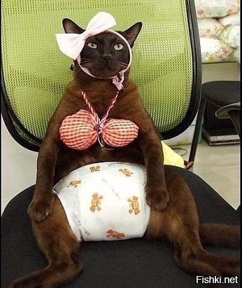 Когда вернулись дети, собака притворилась мертвой