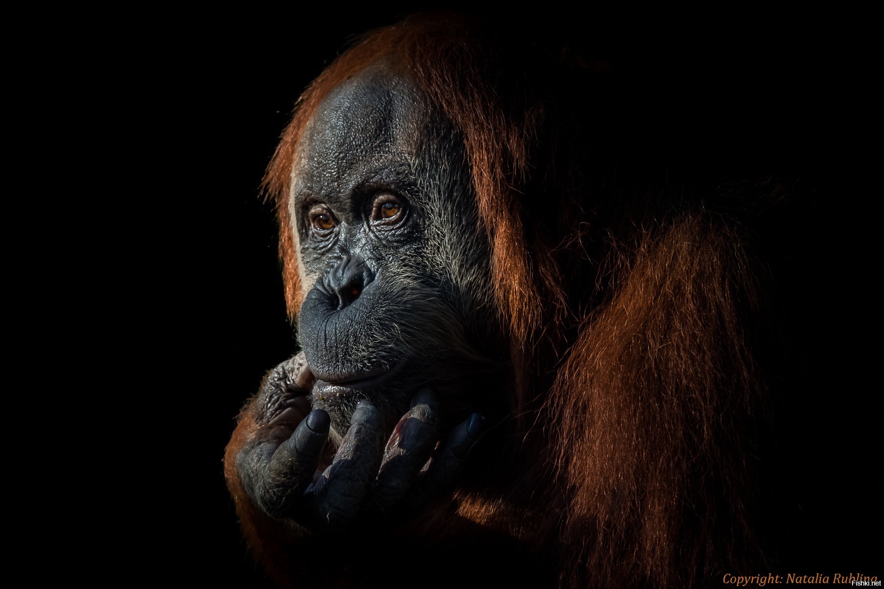 За парой глаз есть Душа