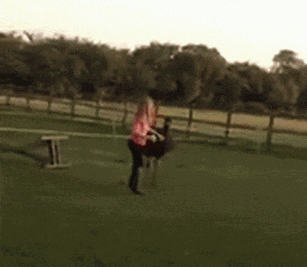 Я его догнал