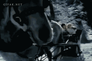 Ночной зимний лес