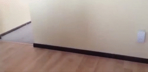 Из солянки
