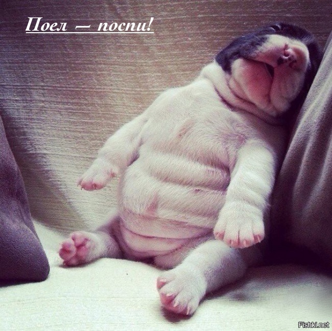 Можно бесконечно смотреть на 3 вещи - воду, огонь и на 