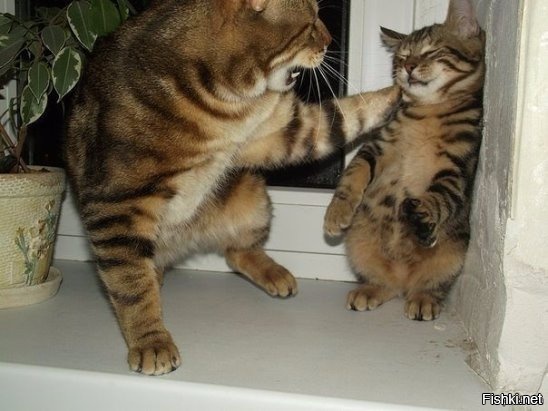 После родительского собрания