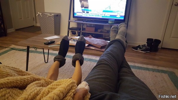 Собака повредила лапы, чтобы она не слизывала лекарства хозяева надевают ей н...