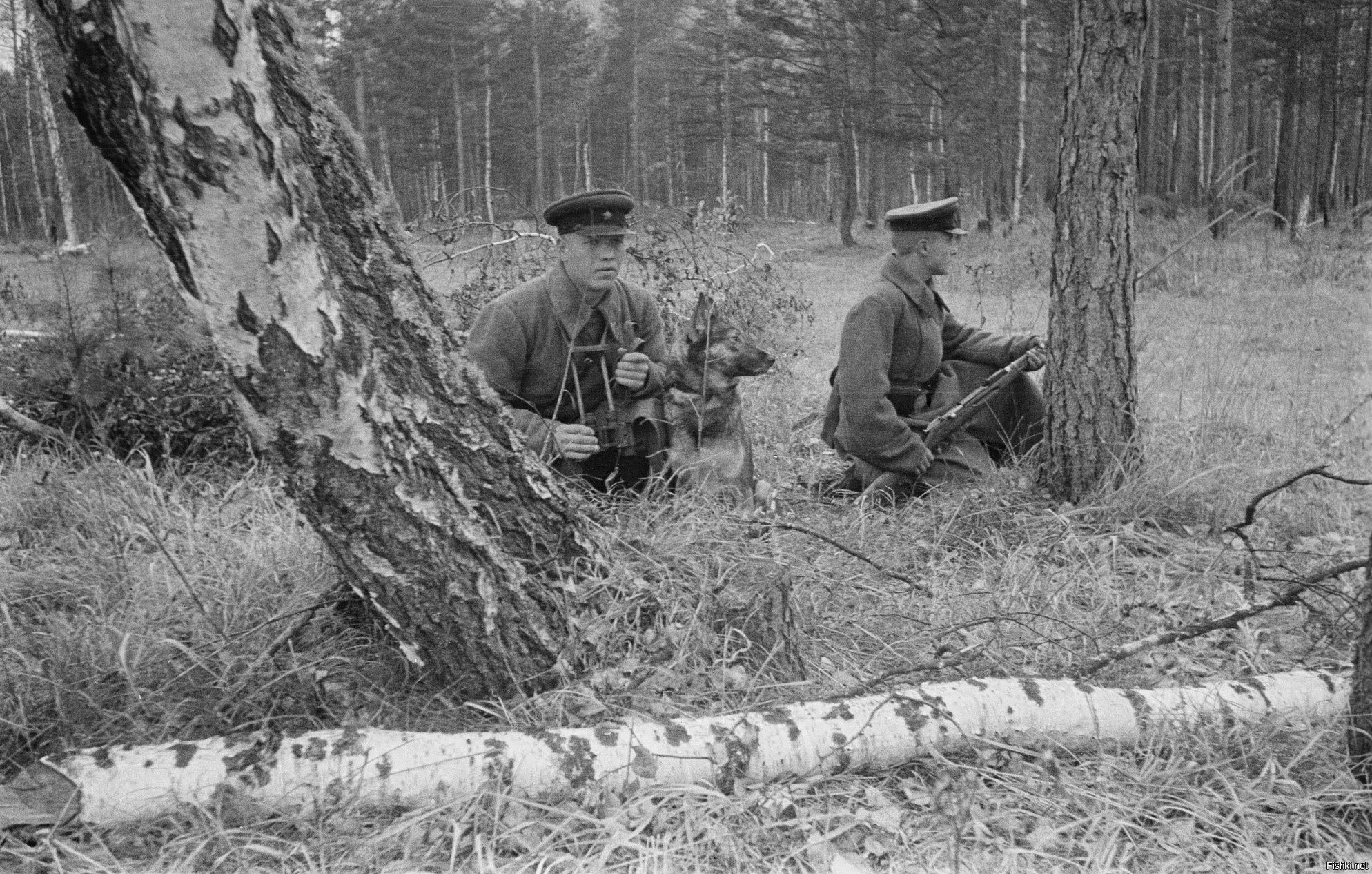 Советские пограничники с собакой в дозоре