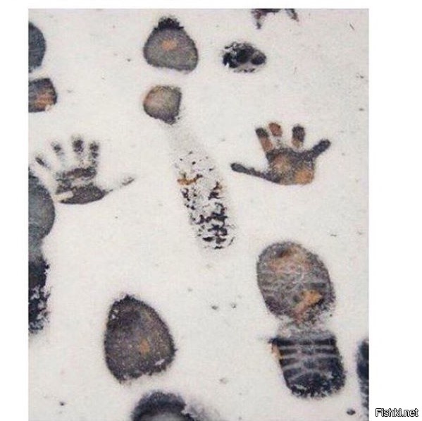 Сегодня утром у подъезда