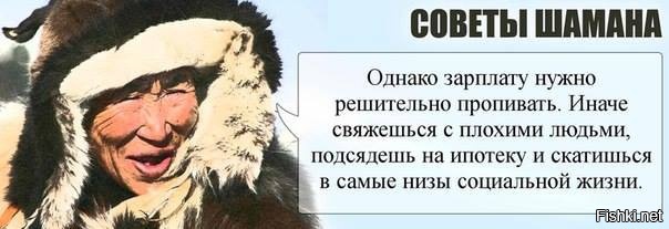 Из солянки