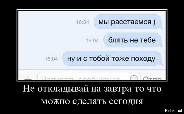 Из солянки