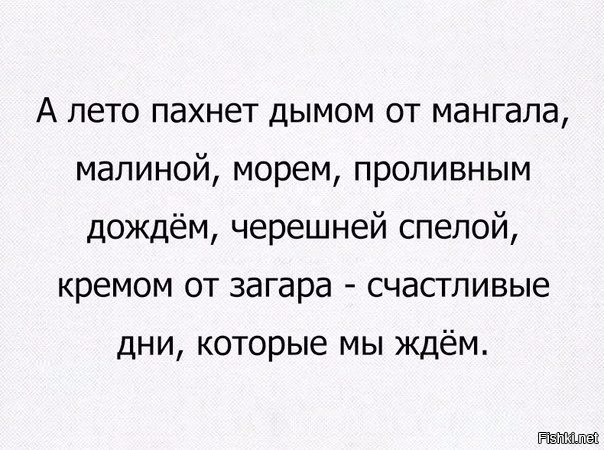Из солянки