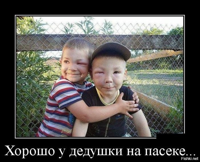 Из солянки