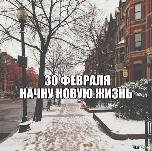 Из солянки