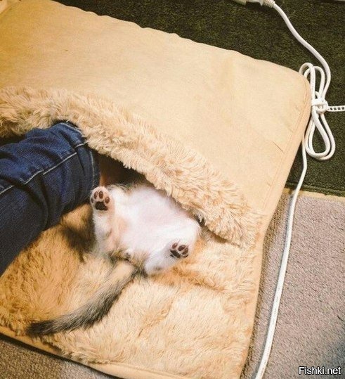 Купил себе обогреватель для ног