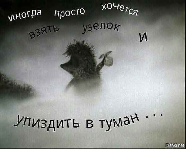 Из солянки